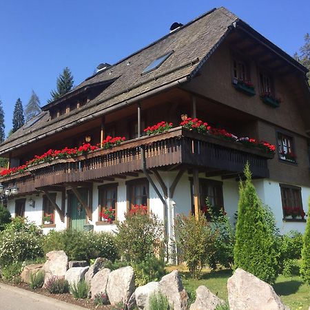 Hollhouse - Bed & Breakfast Hinterzarten Kültér fotó
