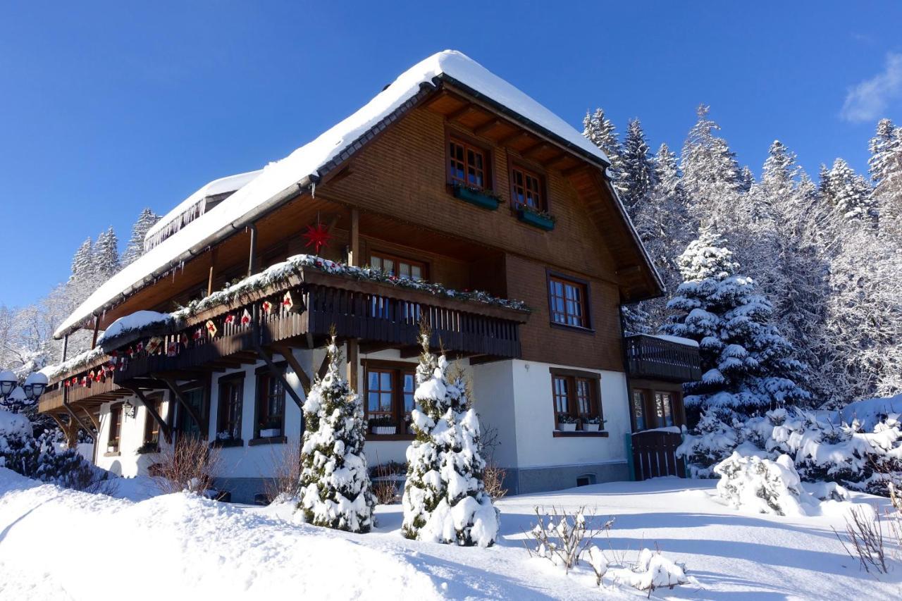 Hollhouse - Bed & Breakfast Hinterzarten Kültér fotó