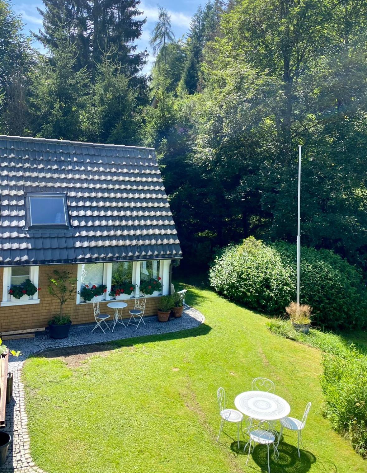 Hollhouse - Bed & Breakfast Hinterzarten Kültér fotó