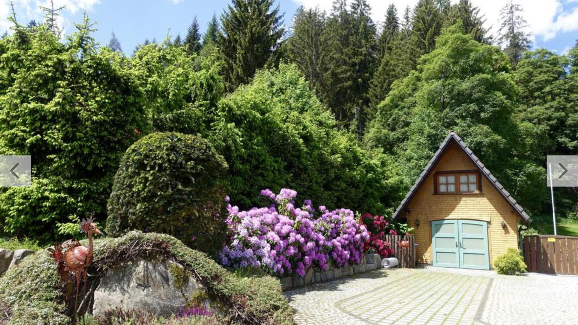 Hollhouse - Bed & Breakfast Hinterzarten Kültér fotó
