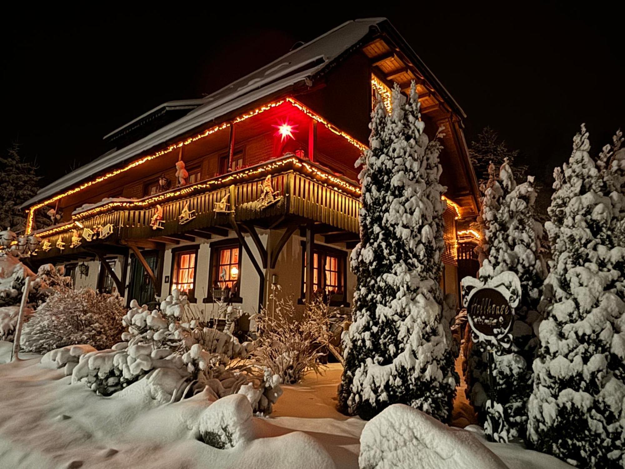 Hollhouse - Bed & Breakfast Hinterzarten Kültér fotó