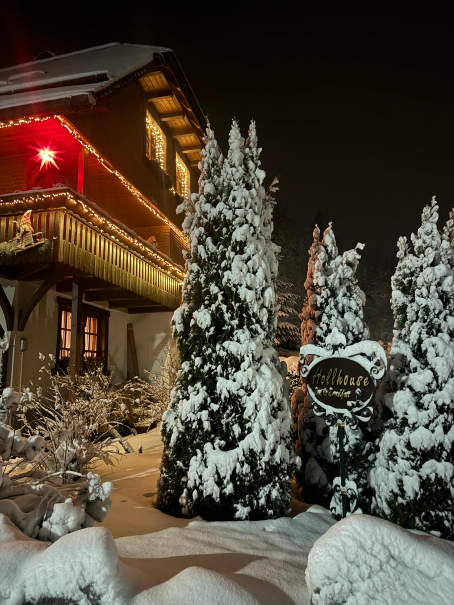 Hollhouse - Bed & Breakfast Hinterzarten Kültér fotó